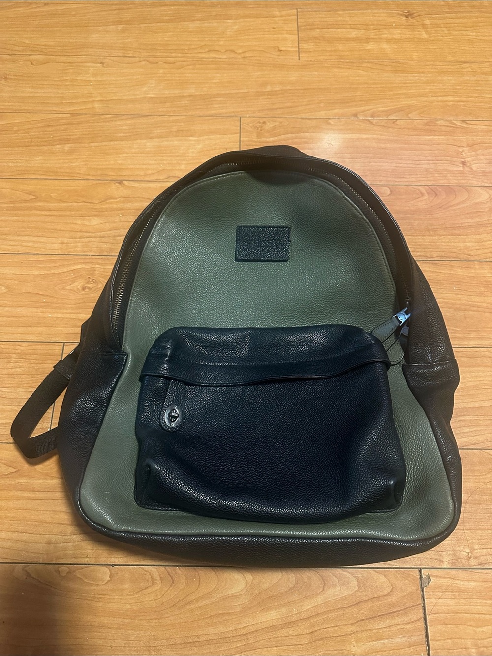 Leather Coach Back Pack